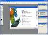 Adobe Photoshop 8 CS