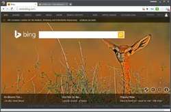 Comodo Dragon Browser Screenshot