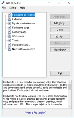 Flashpaste Lite Screenshot