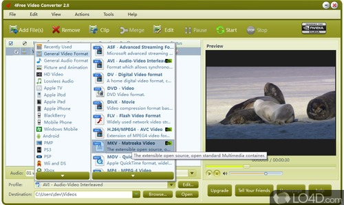 4Free Video Converter