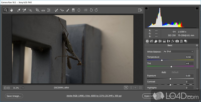 Adobe Camera Raw 8.7 скачать торрент - фото 2