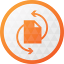 Paragon Partition Manager Free Icon