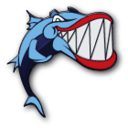 BarracudaDrive Icon