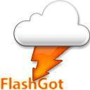 FlashGot for Firefox