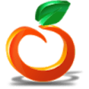 OrangeHRM Icon
