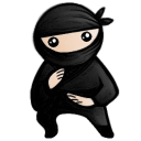 System Ninja Icon