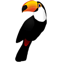 Toucan Icon