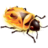 FireBug icon