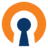 OpenVPN GUI icon