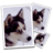 SmillaEnlarger icon