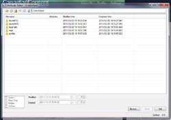 File attribute editor