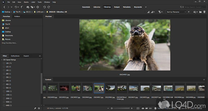 Adobe’s free media manager for your creative works - Screenshot of Adobe Bridge