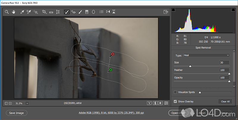 Open and edit RAW images in Photoshop - Screenshot of Adobe Camera Raw