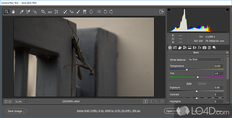 Adobe Camera Raw 16.0 download the new