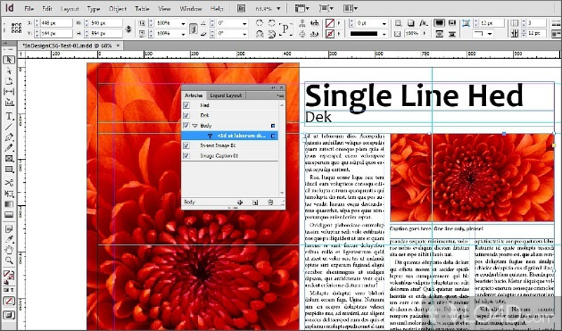 Create layouts for publishing - Screenshot of Adobe InDesign