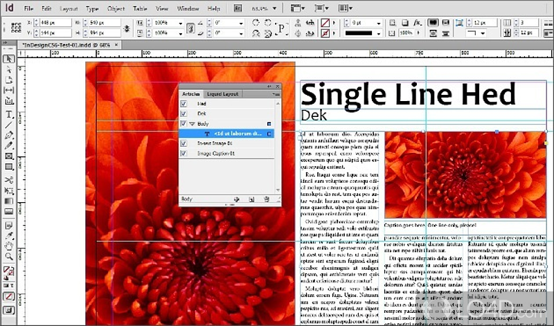 Indesign cs6