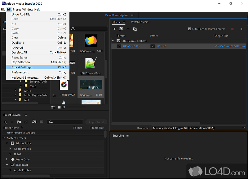 Adobe Media Encoder: Formats - Screenshot of Adobe Media Encoder