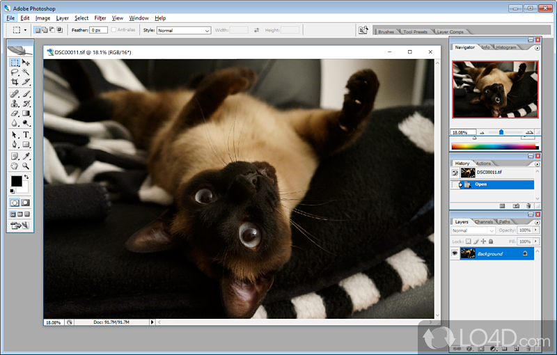 The heavyweight of graphic editors - Screenshot of Adobe Photoshop CS2