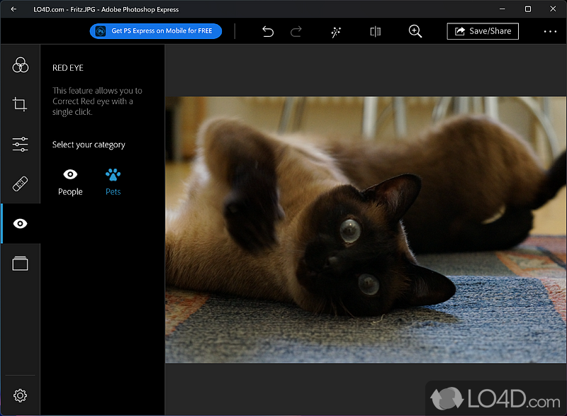 Crop and straighten - Screenshot of Adobe Photoshop Express