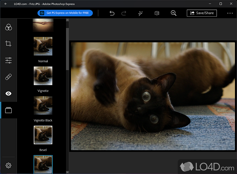 Correct various aspects of a photo - Screenshot of Adobe Photoshop Express