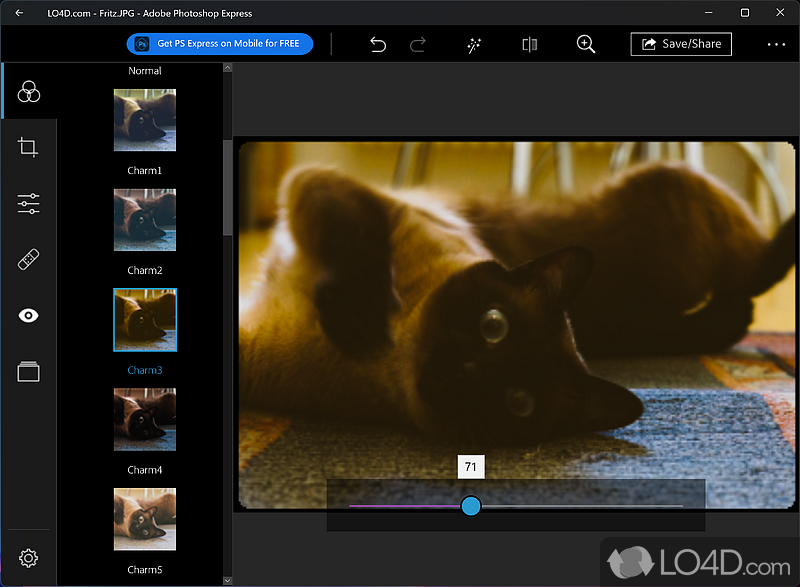 Adobe Photoshop Express: Preset filters - Screenshot of Adobe Photoshop Express