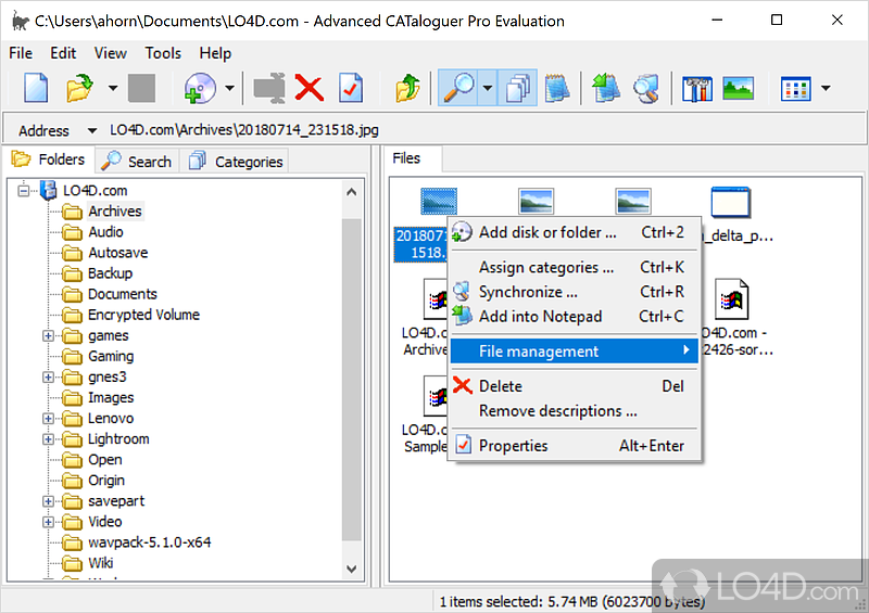 Professional cataloguing software - Screenshot of Advanced CATaloguer Pro