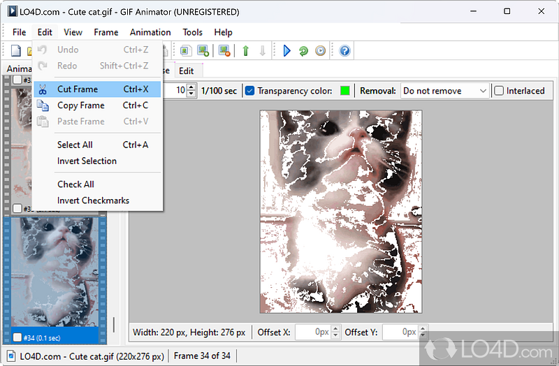 Tool for creating animated GIF images, banners, buttons - Screenshot of Advanced GIF Animator