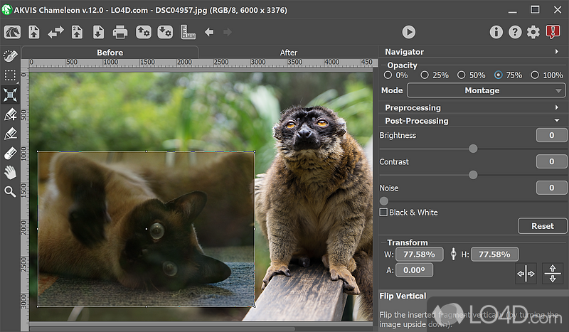 Photoshop plug-in to create image collages - Screenshot of AKVIS Chameleon