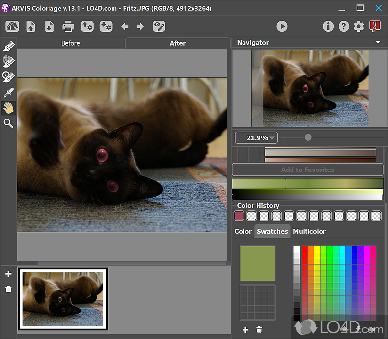 User-friendly tool for professional-looking colorization - Screenshot of AKVIS Coloriage