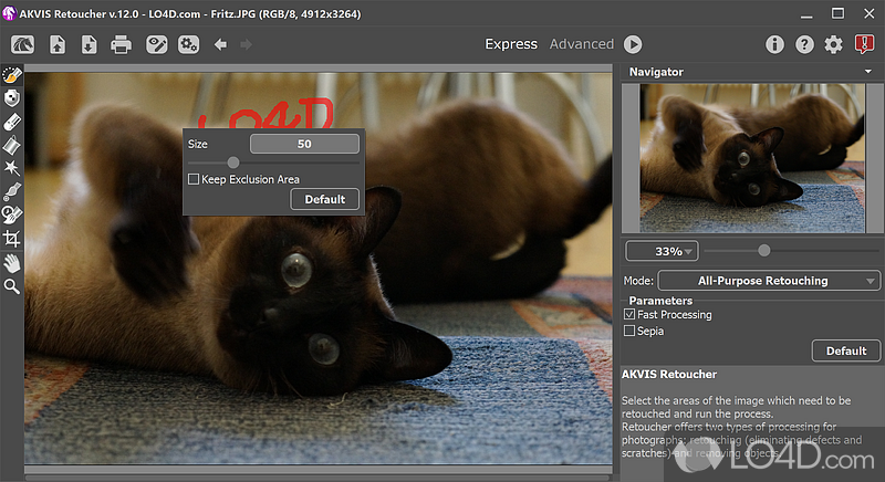 Intuitive interface - Screenshot of AKVIS Retoucher