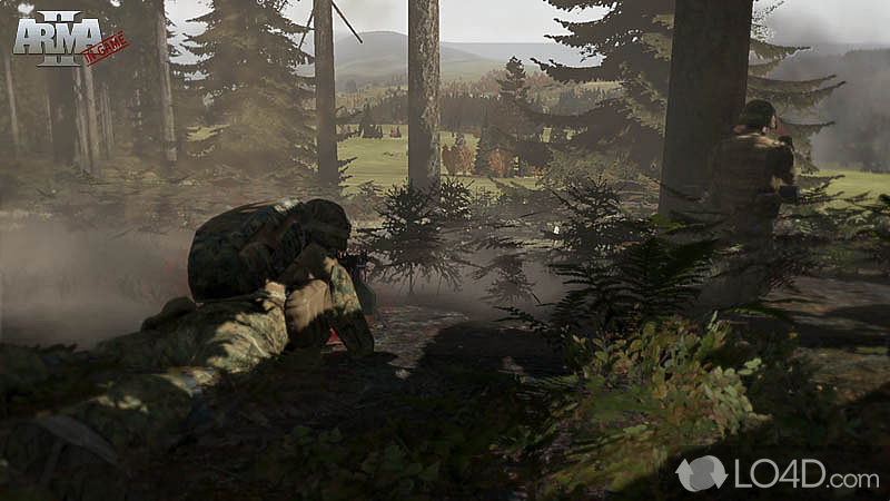 Free battlefield game - Screenshot of ArmA 2 Free