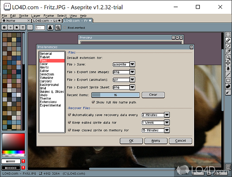 Sprite editing and animation tool with support for static images - Screenshot of Aseprite