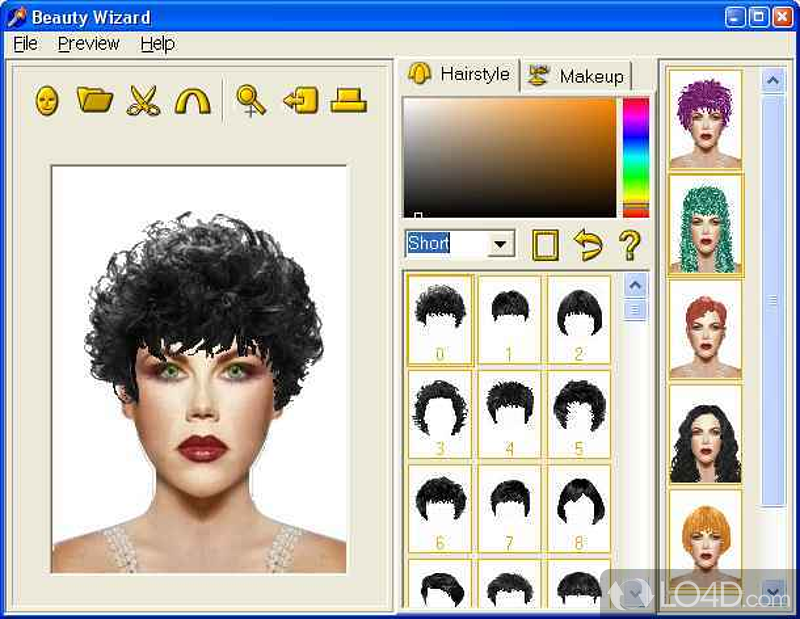 Beauty Wizard: User interface - Screenshot of Beauty Wizard