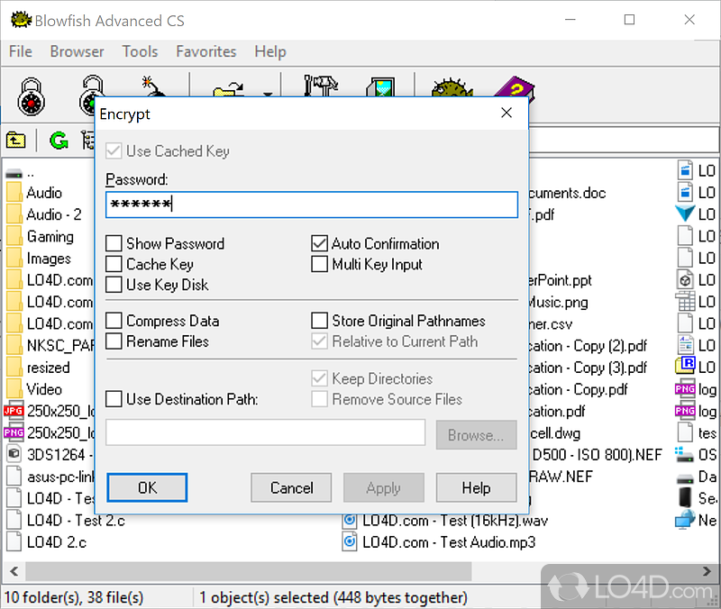 Blowfish Advanced CS screenshot