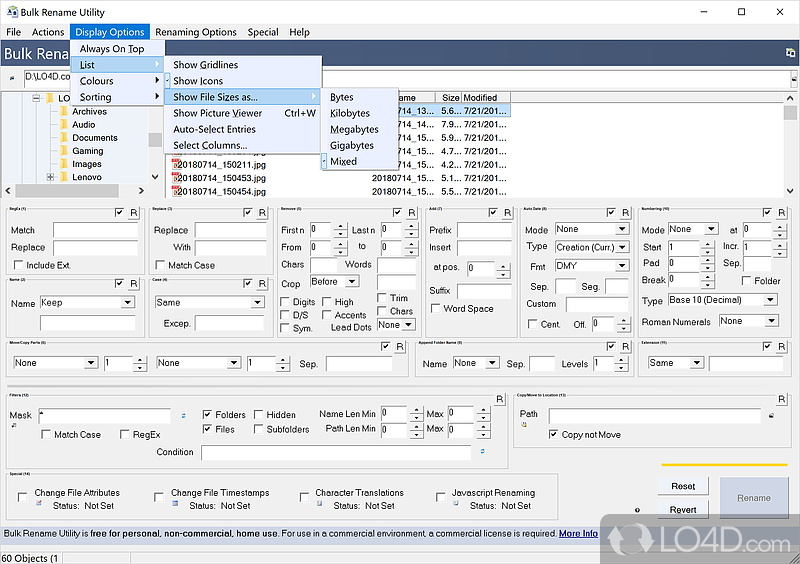 Insert or subtract custom characters - Screenshot of Bulk Rename Utility
