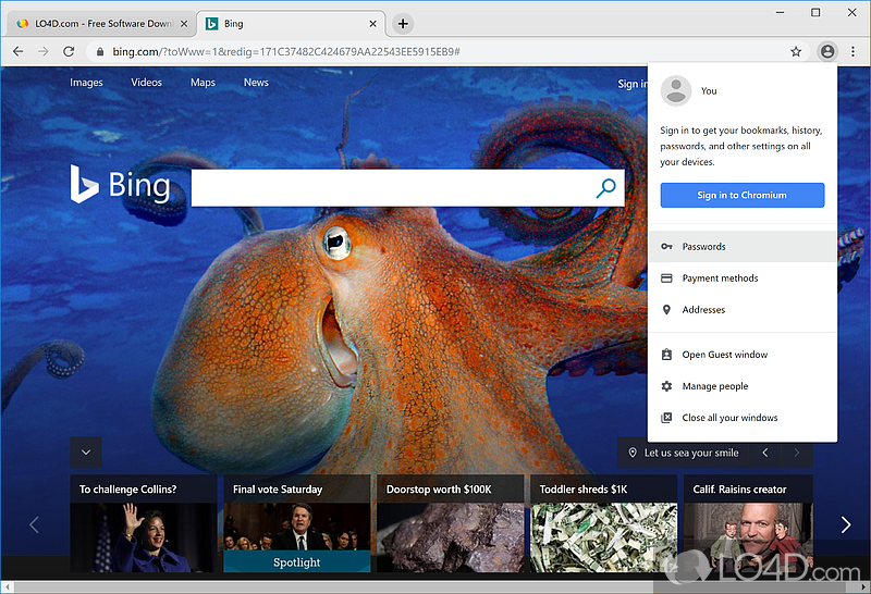 Improve how one browses the web - Screenshot of Chromium Browser