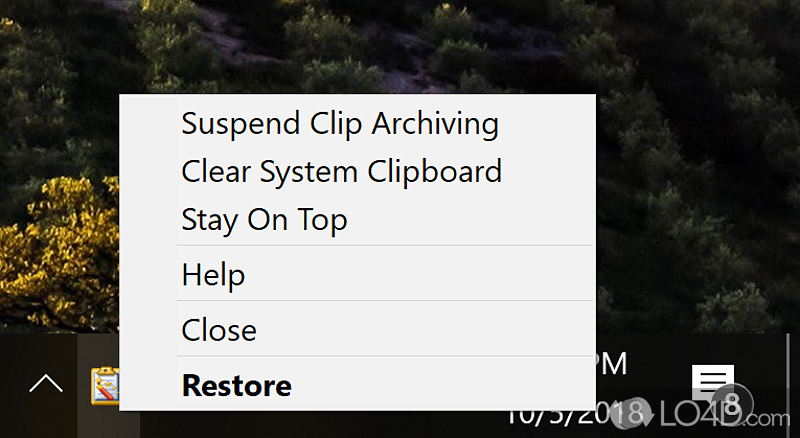 Clipboard management tool that remembers and archives text sent to the clipboard - Screenshot of Clipboard Magic
