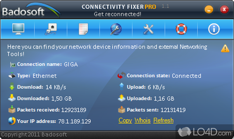 Repair DNS Problems - Screenshot of Connectivity Fixer