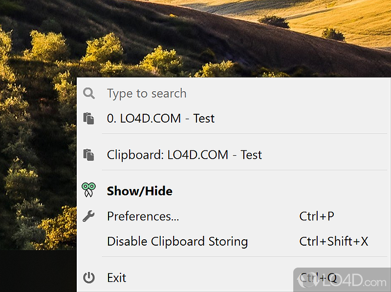 Customizable setup pack - Screenshot of CopyQ