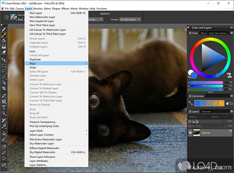 Composition guidance - Screenshot of Corel Painter