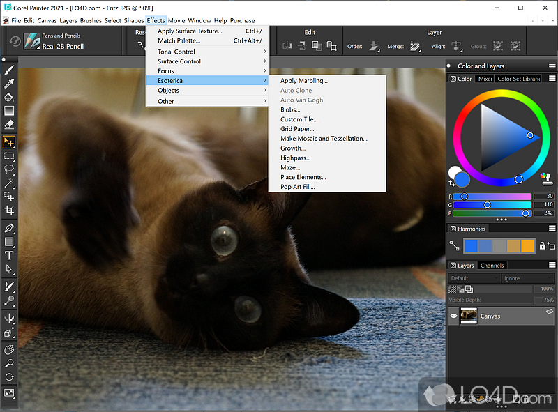 Completely customizable - Screenshot of Corel Painter