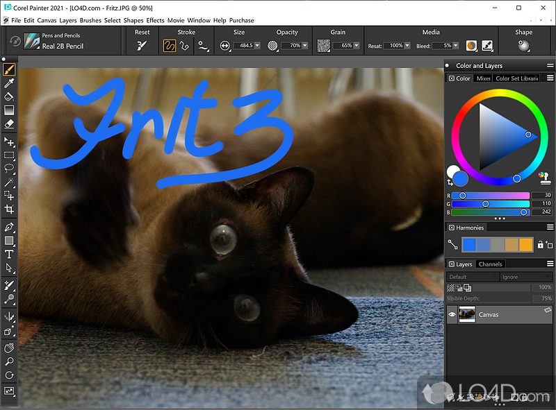 Created by PROS for PROS - Screenshot of Corel Painter
