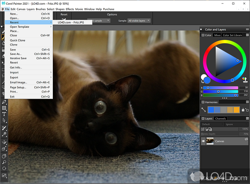 Contemporary user-requested updates - Screenshot of Corel Painter