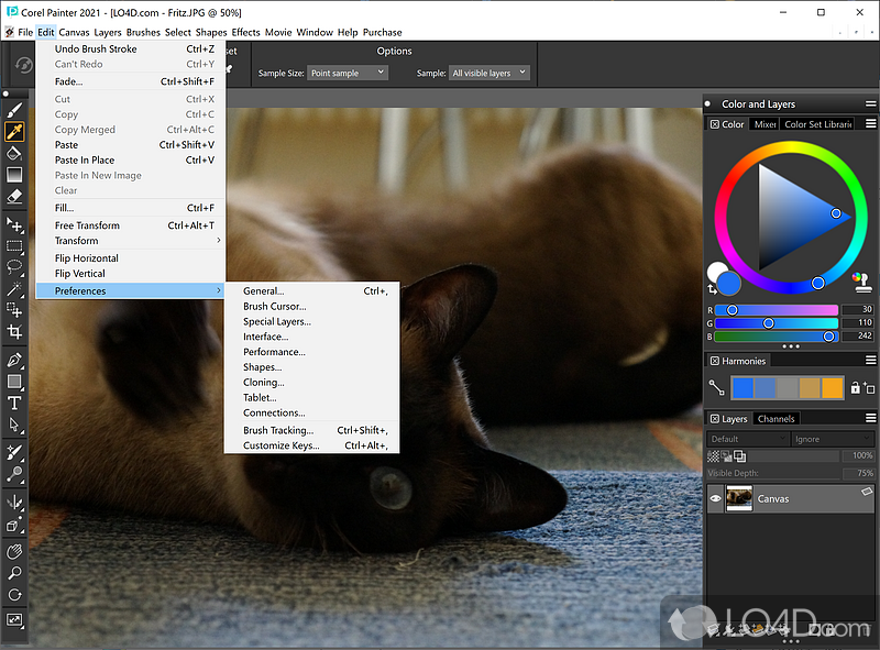 Compatibility and incredible performance - Screenshot of Corel Painter