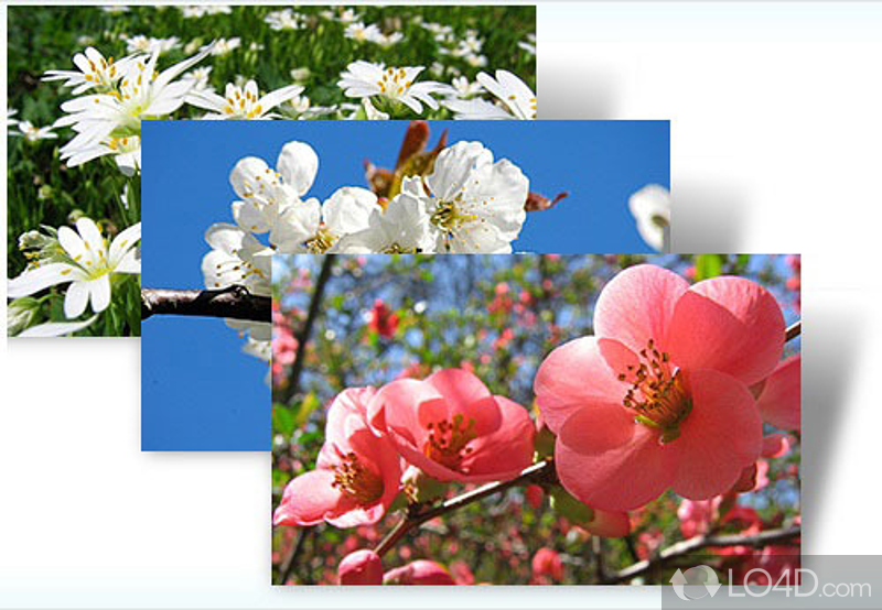 Refreshing theme for Windows - Screenshot of Czech Spring Theme for Windows 7