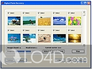 Digital Photo Recovery - Download