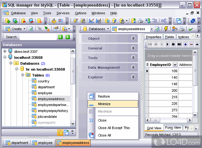 EMS SQL Manager for MySQL: User interface - Screenshot of EMS SQL Manager for MySQL