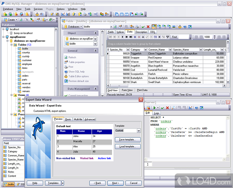 Powerful GUI tool for MySQL administration - Screenshot of EMS SQL Manager for MySQL