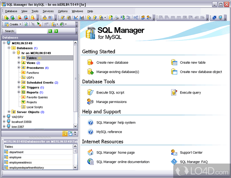 EMS SQL Manager for MySQL Freeware: User interface - Screenshot of EMS SQL Manager for MySQL Freeware