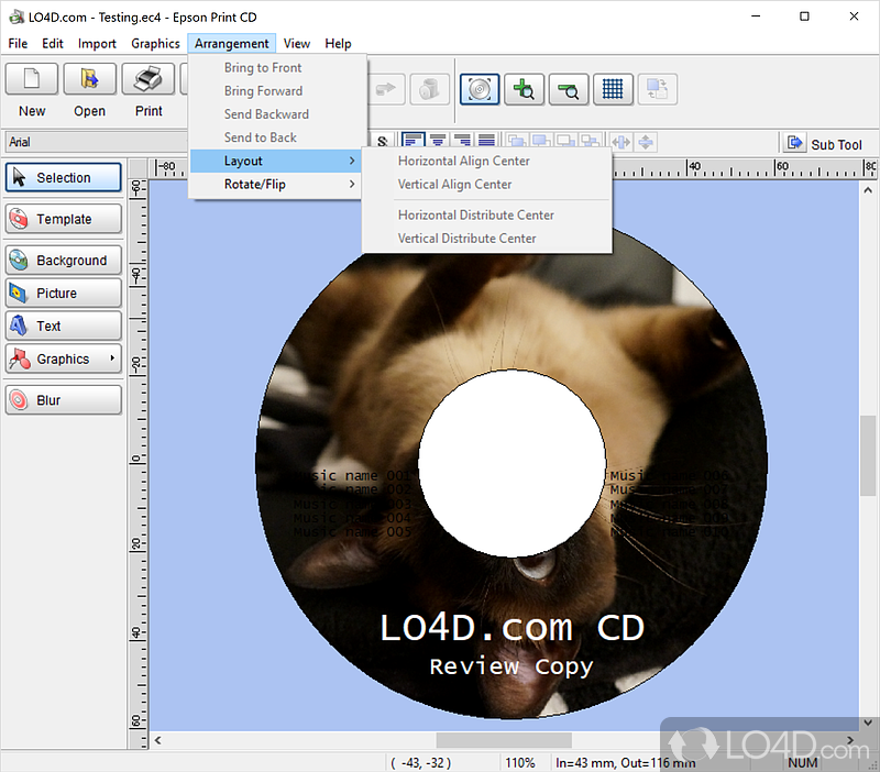 Epson Print CD screenshot